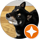 Chuanqi Zhu profile picture